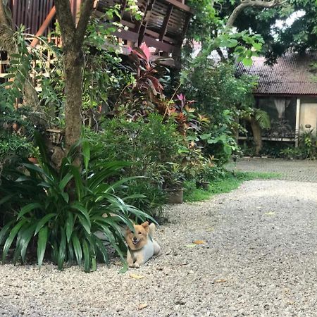 Baan Songjum Hotel Chiang Mai Eksteriør billede