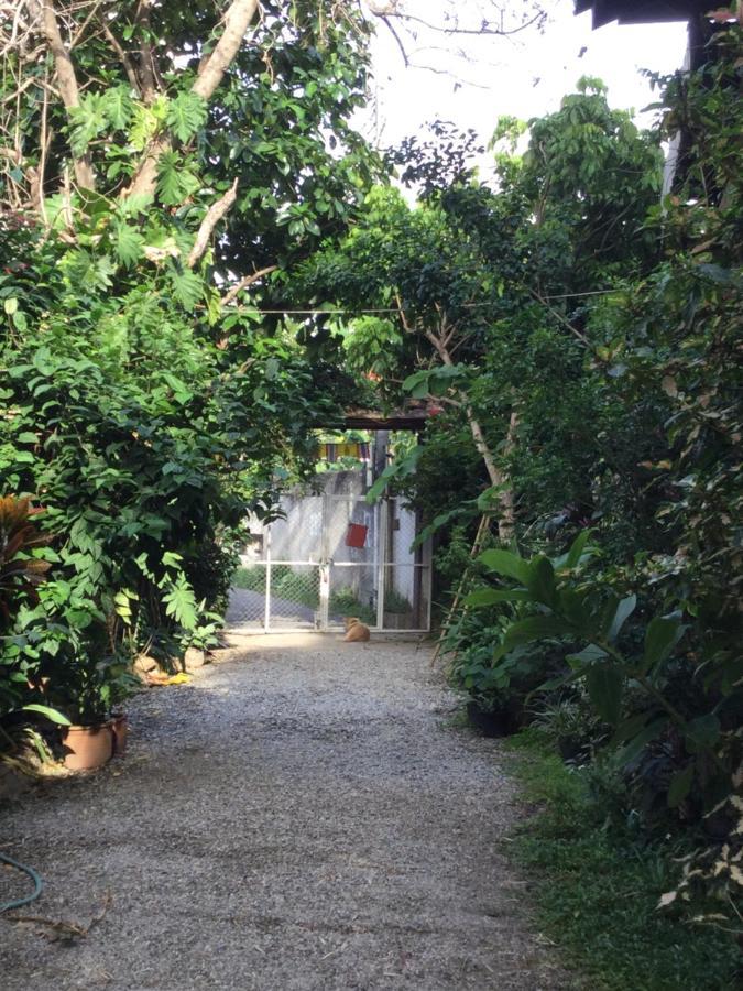 Baan Songjum Hotel Chiang Mai Eksteriør billede