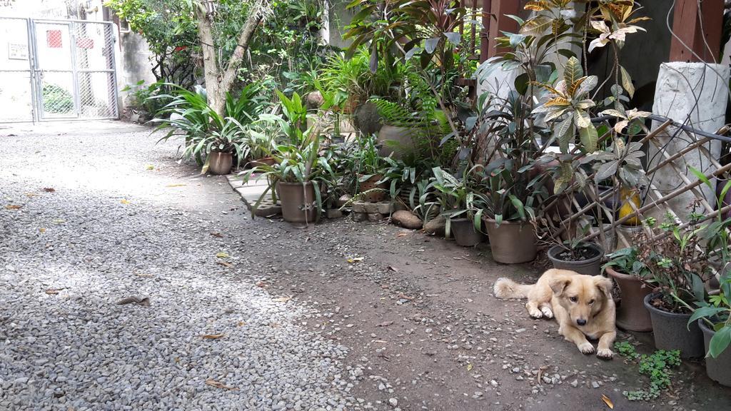 Baan Songjum Hotel Chiang Mai Eksteriør billede