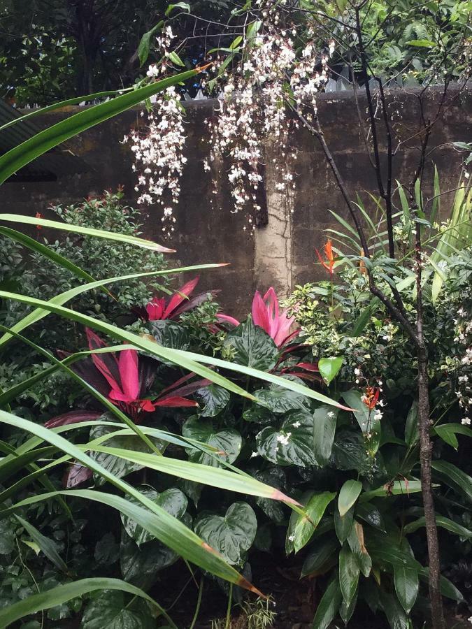 Baan Songjum Hotel Chiang Mai Eksteriør billede